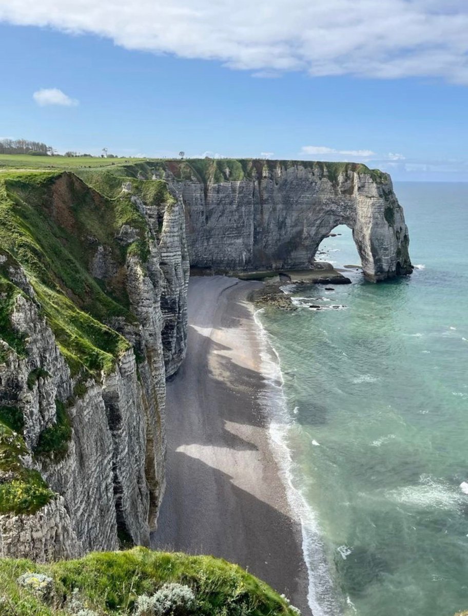 WORLD 2026 🌊 tweet media