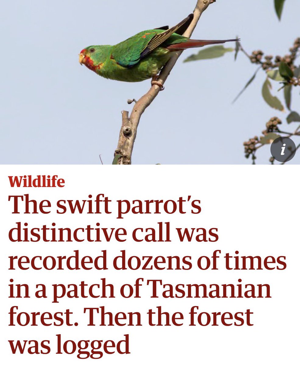 Ben Pennings tweet media