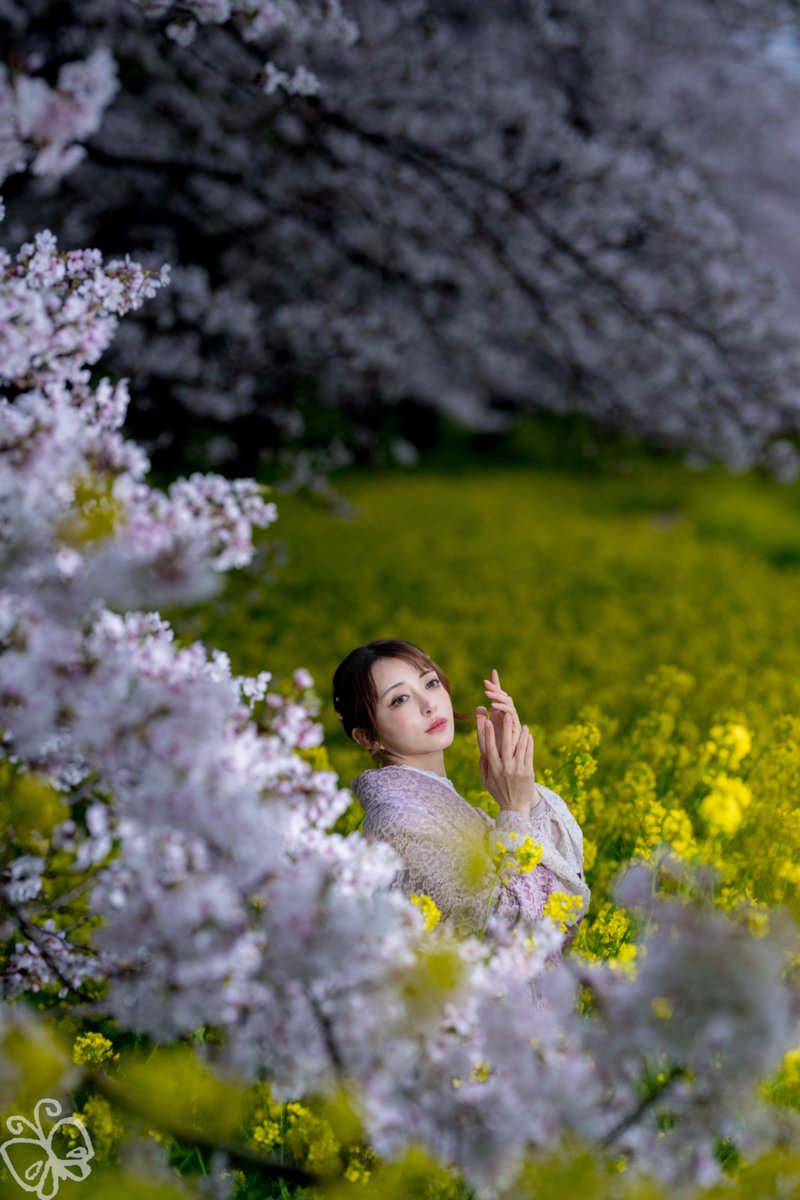 〜カティーさん〜
#桜 #桜満開 🌸企画 ✨😀 📸
#カティー <a href="/kattyphoto/">カティーkatty*写真タグ付け垢*</a> <a href="/photostrolltag/">フォトストロール撮影会@タグ付用(フォトスト)</a>