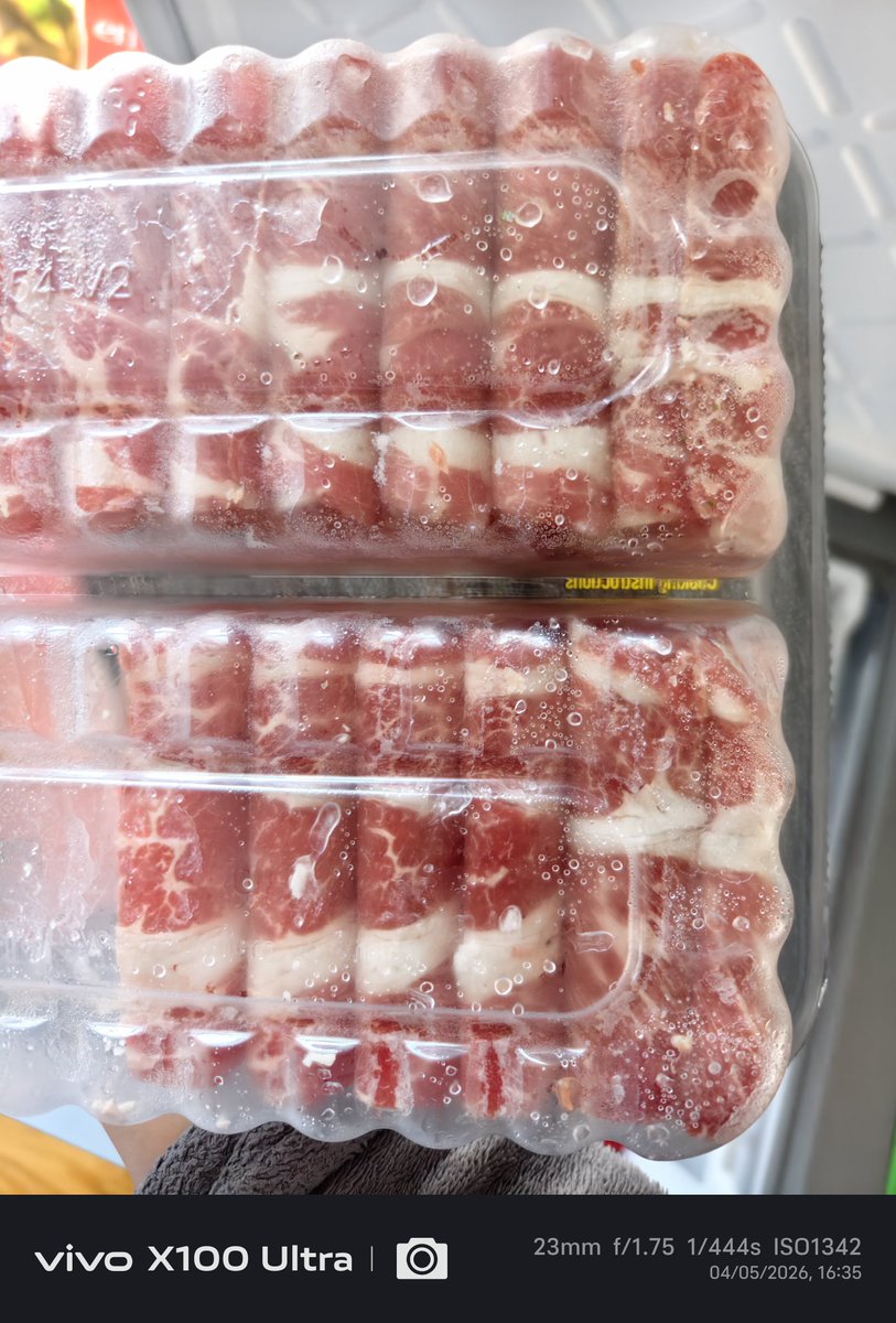 Elvis Cat tweet media