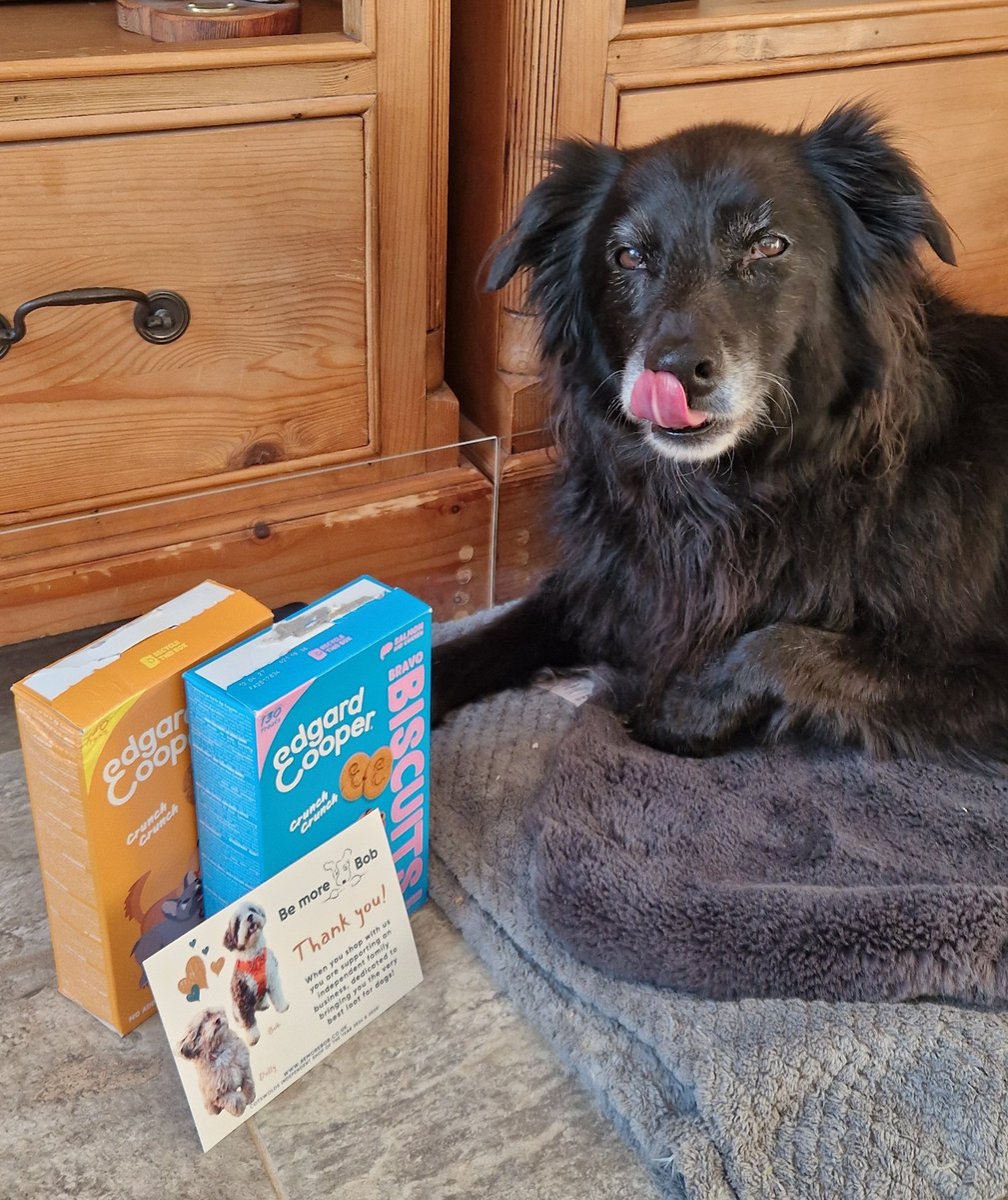 Dr. Corinne Scott tweet media