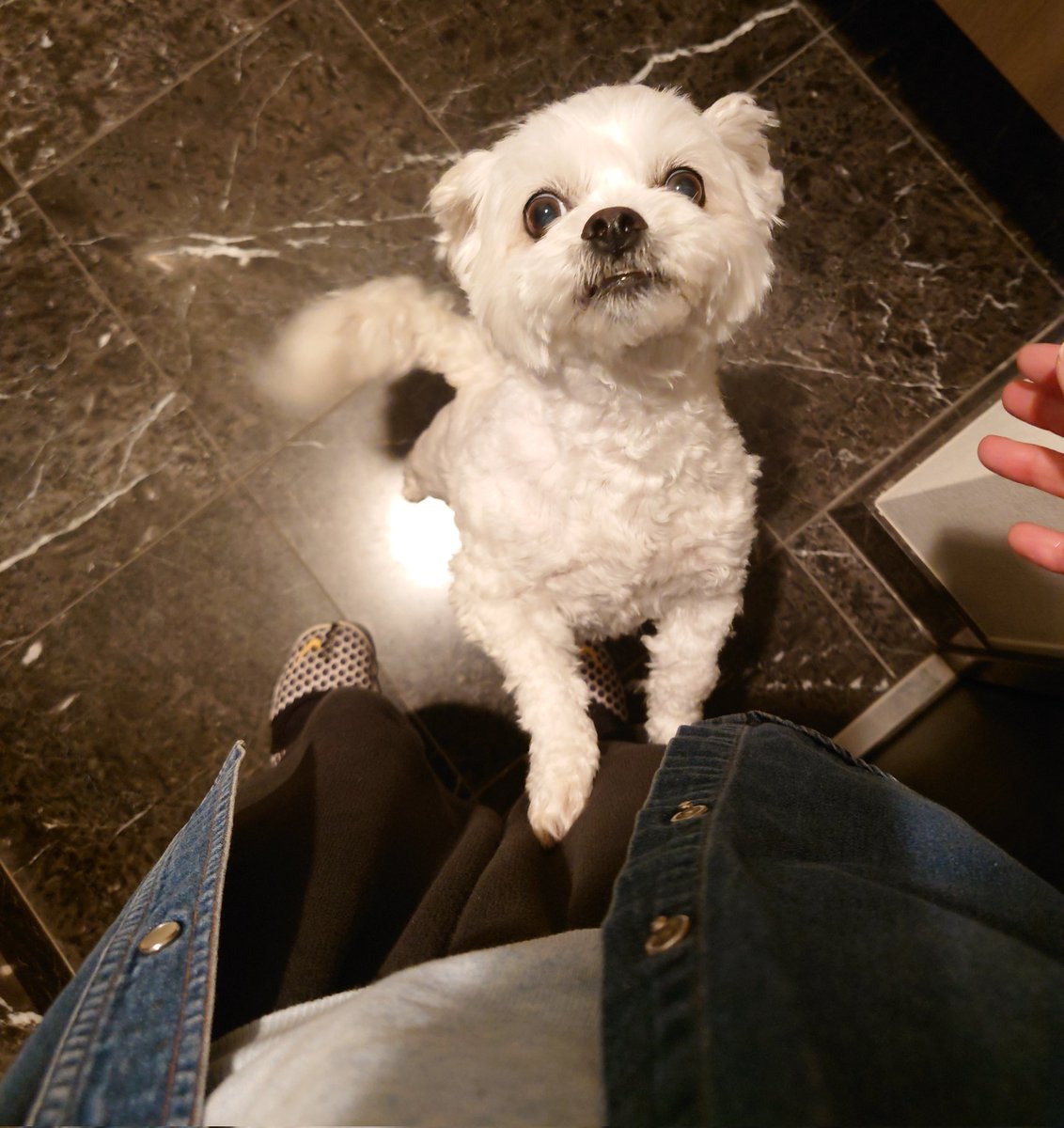 にゃおみ@ゼロから広報PR勉強中 tweet media