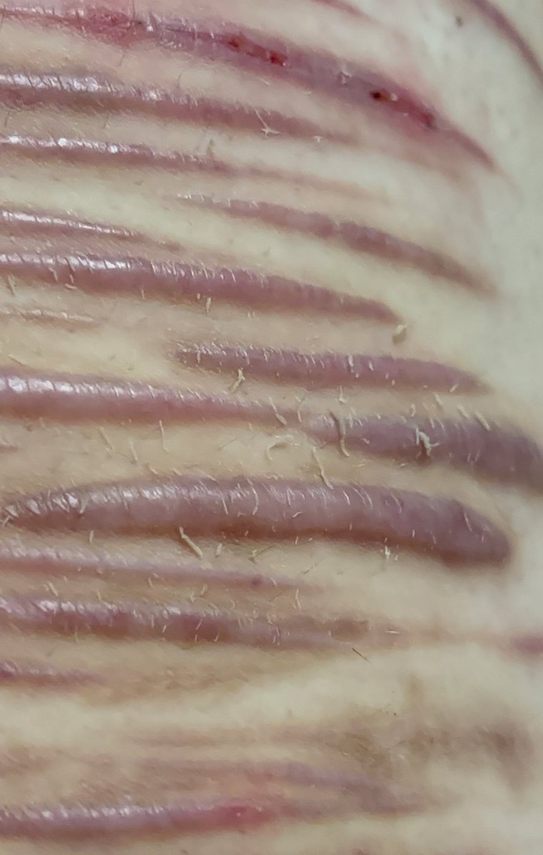 jax of shtwt🌽 tweet media