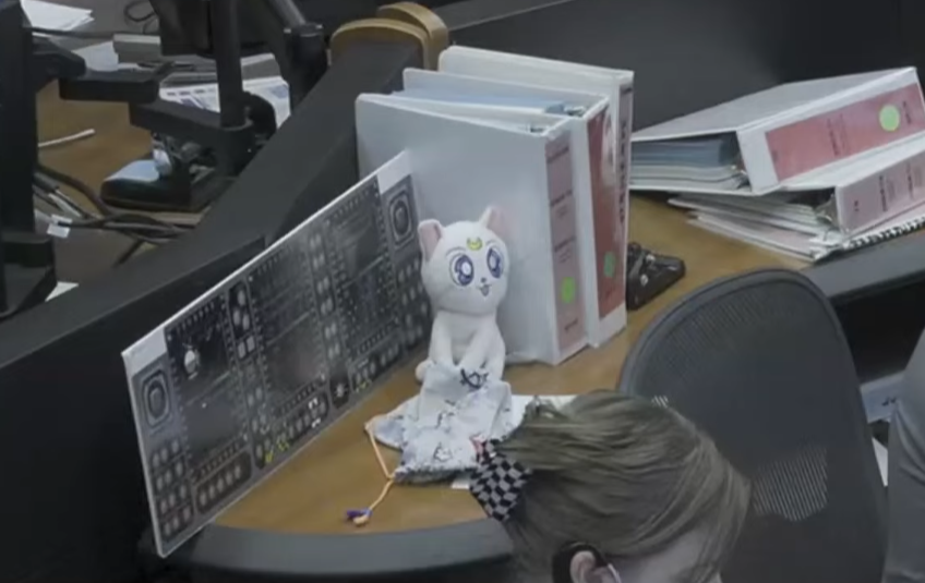 ネコビデオ ビジュアル ソリューションズ tweet media