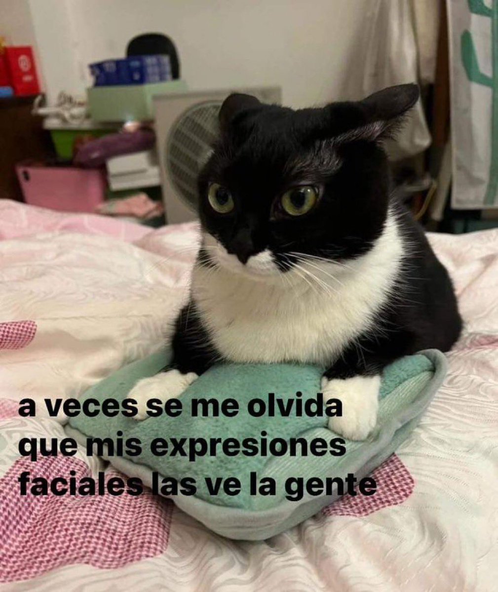 Sergio A tweet media