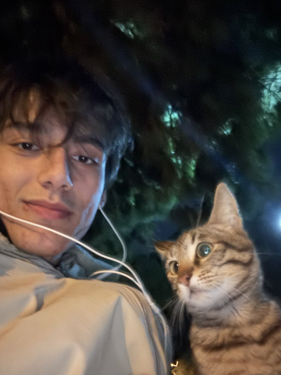 hayat bayat tweet media