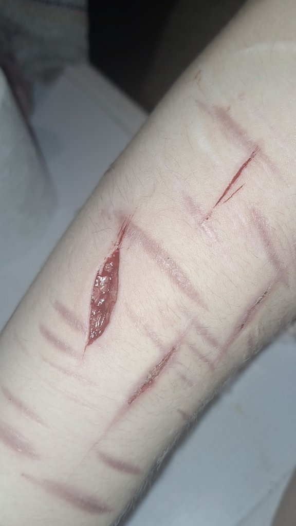 Dazai of SHEDTWT tweet media