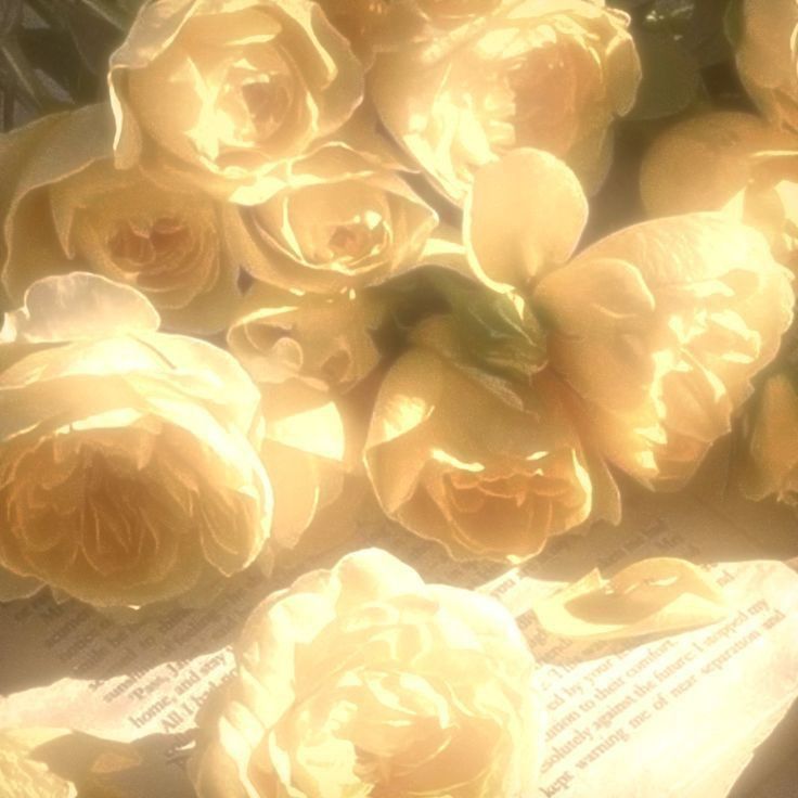 Soluço 🎸ִֶָ⁷ tweet media