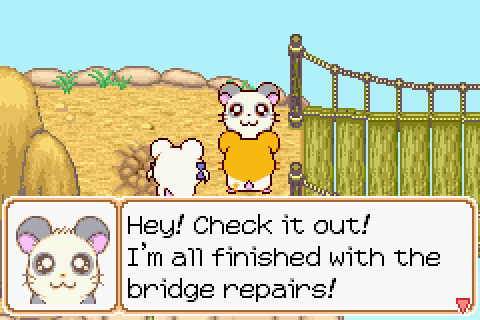 Cappy カッピ (Planks?) tweet media