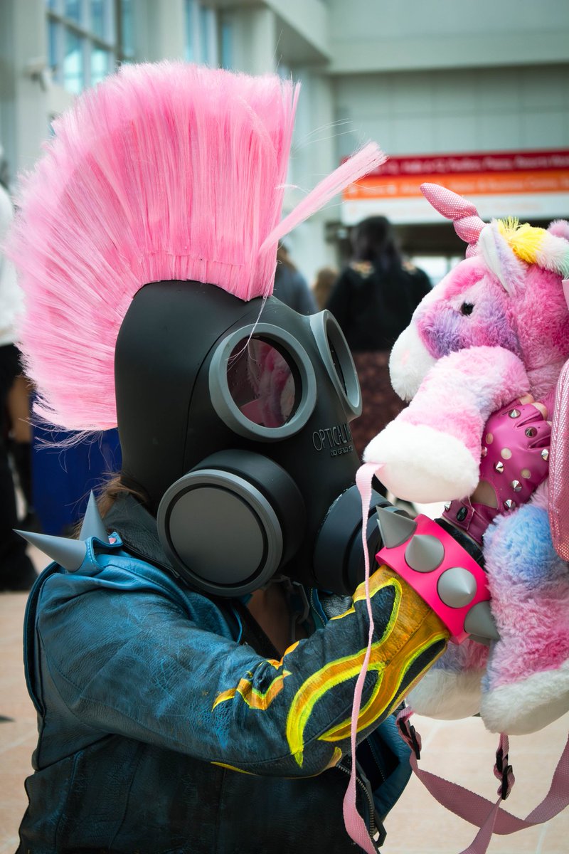 NinjaCheddarBiscuits tweet media