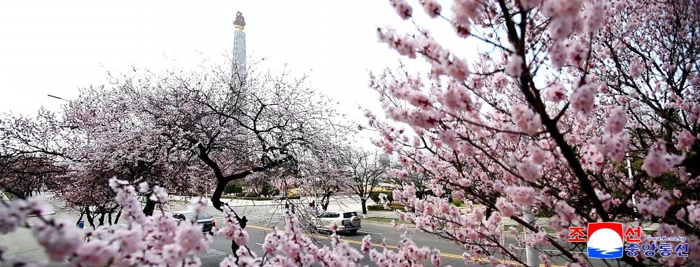 JucheSoverign 🇰🇵 tweet media