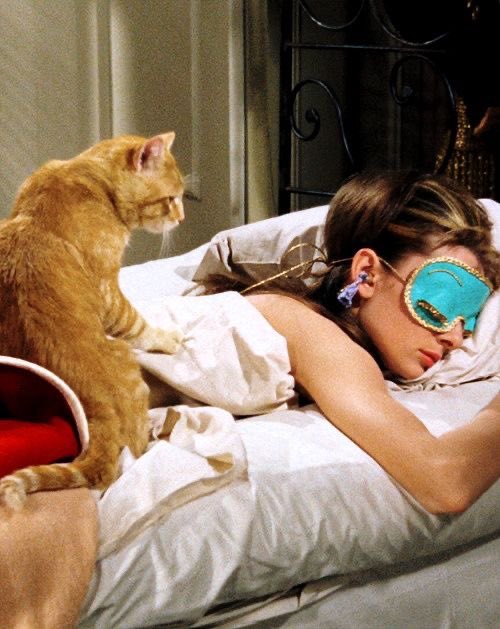 audrey ⋆˚࿔ tweet media