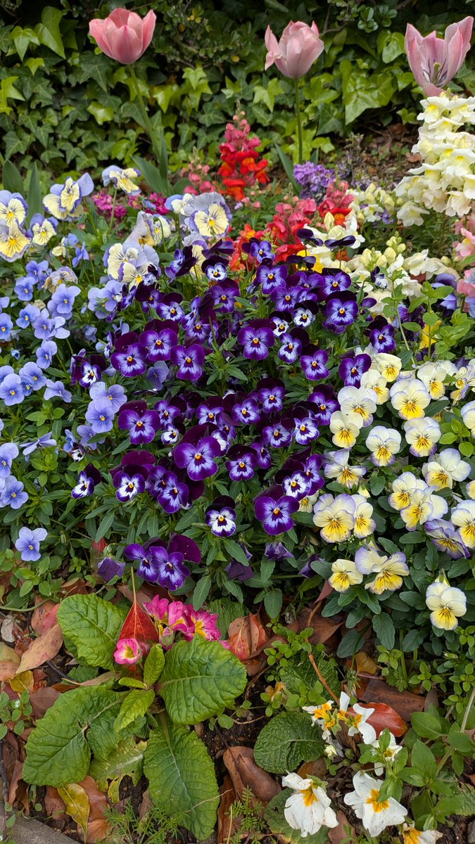 じんらい🍓@サラダパン🍓 tweet media