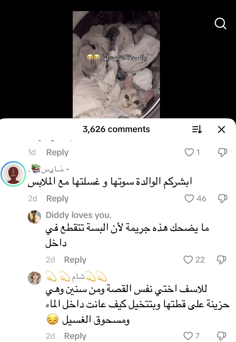 Sahar Mahmoud tweet media