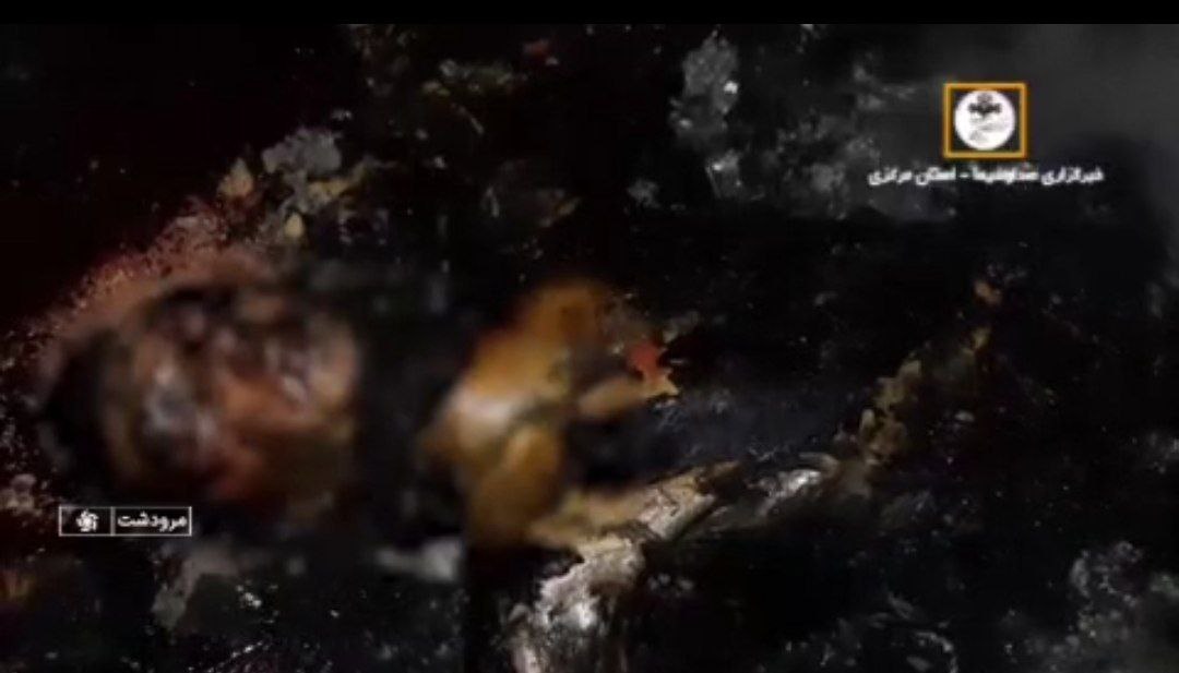 رضا یزدان پرست tweet media