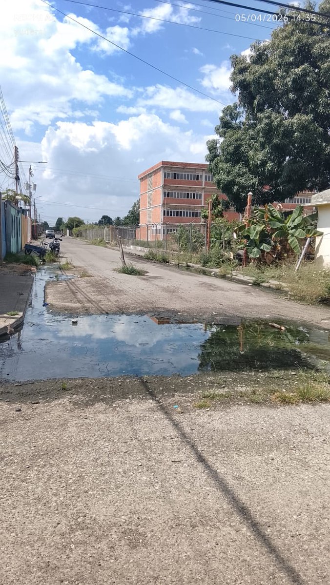 María Gabriela Arocha tweet media