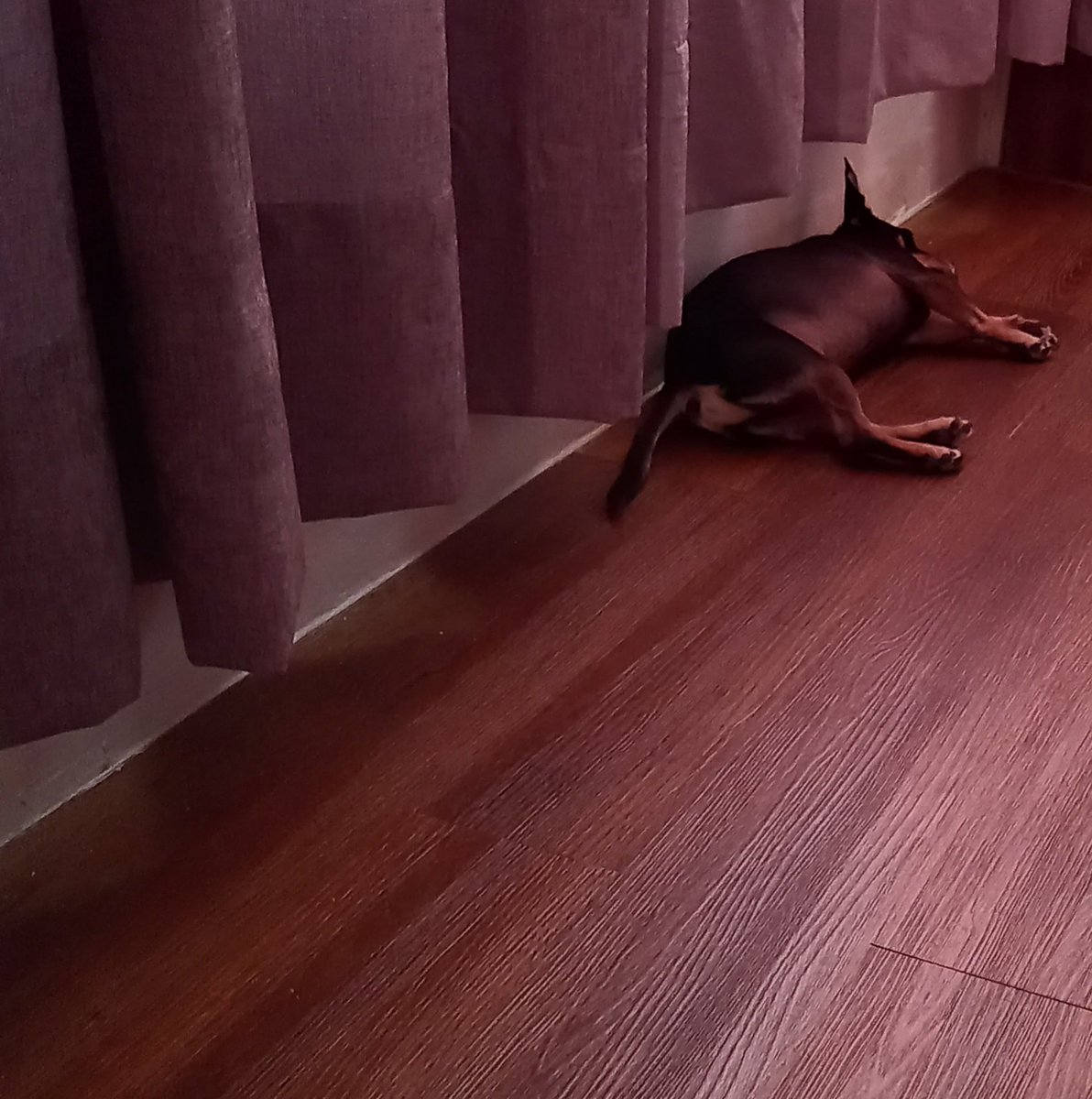 Prof Malina Ex De Alves 🇺🇸 EXPERTA EN DEBATE tweet media