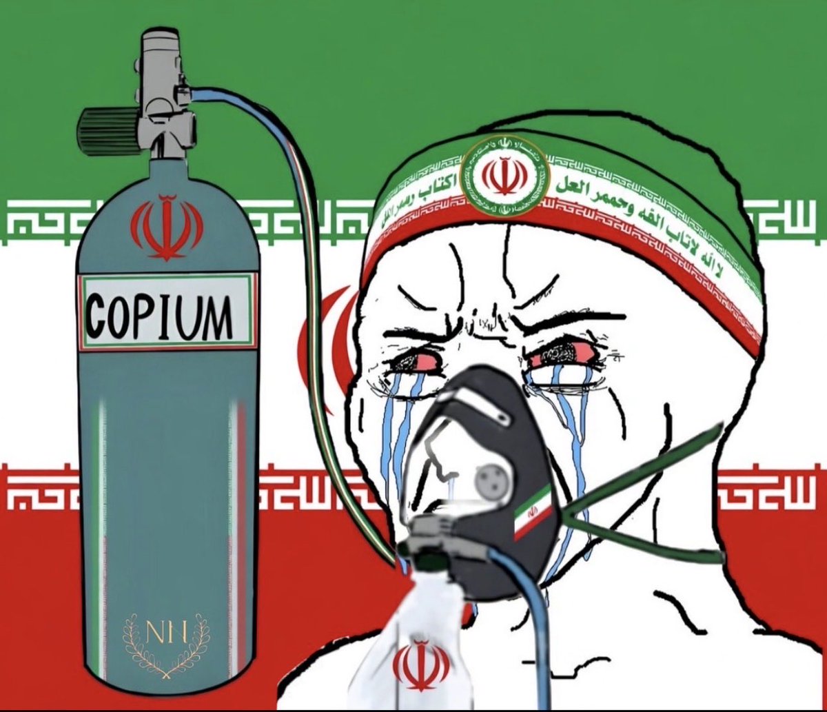 Possum Reviews tweet media