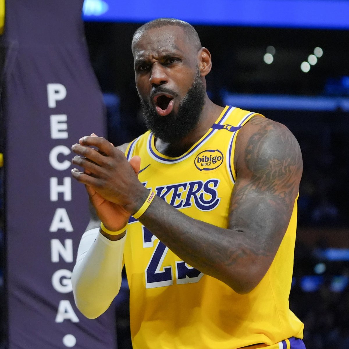 Legion Hoops tweet media