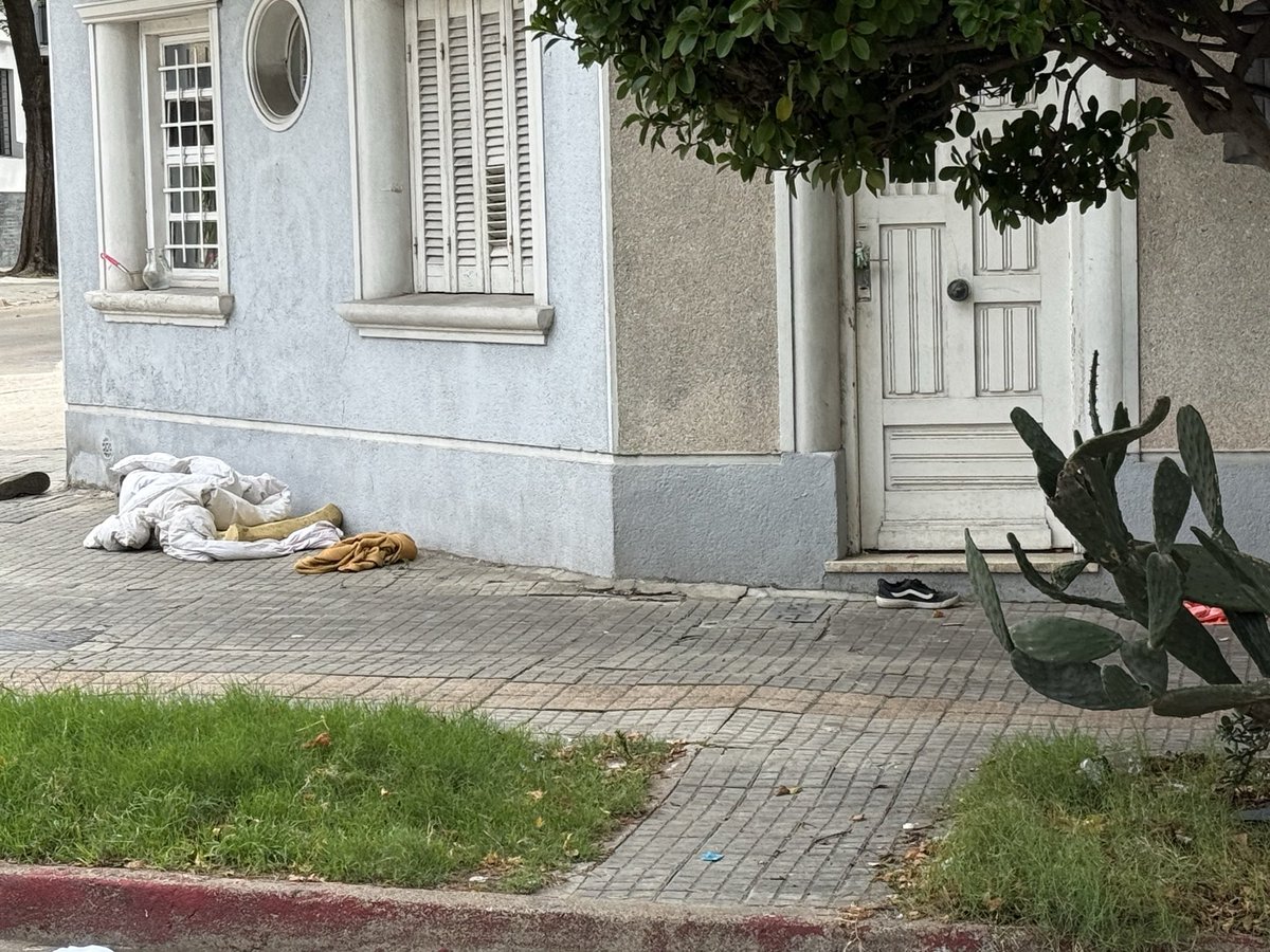 tato gorri tweet media