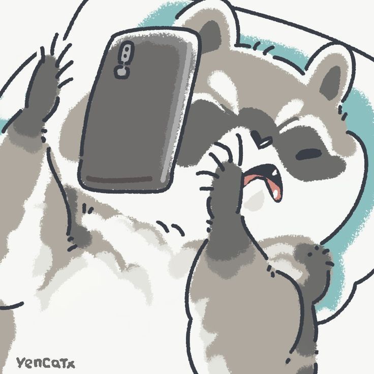 silly raccoons & pandas (@raccstuffs) on Twitter photo 