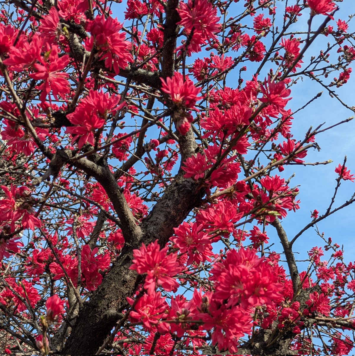 じゅんこ tweet media