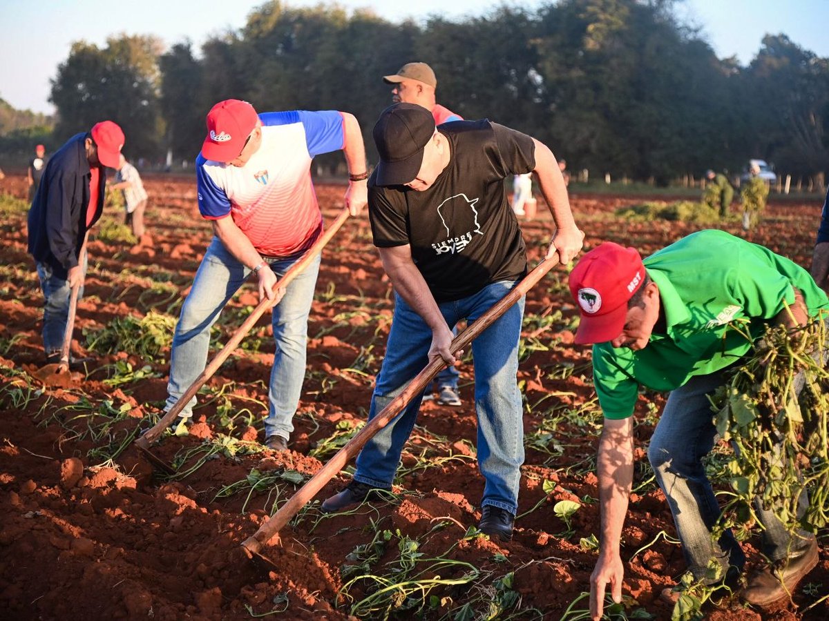 🔴🔵🟢| En el surco y bajo el sol,estuvo el Presidente <a href="/DiazCanelB/">Miguel Díaz-Canel Bermúdez</a> con cubanos de diferentes generaciones que frente a las complejidades de la situación económica,apuestan por el impulso de las labores agrícolas para lograr la imprescindible soberanía alimentaria.
#CubaEstáFirme