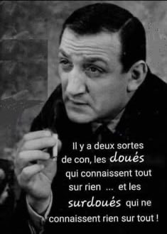 Fourmi ⚜️ tweet media