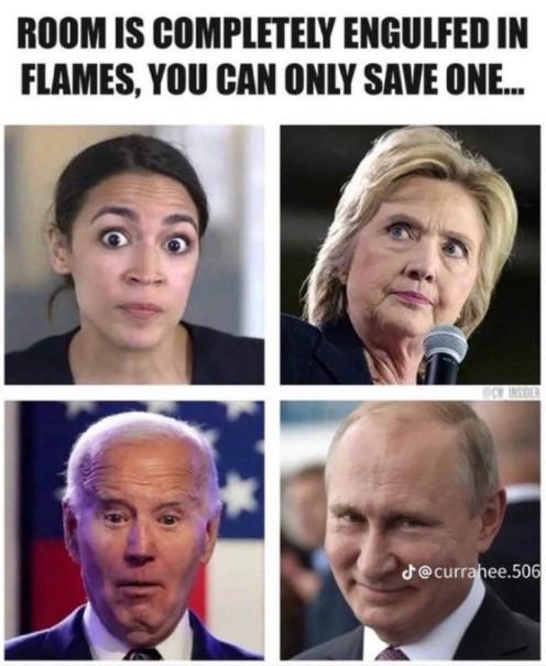 Eli Brooks tweet media