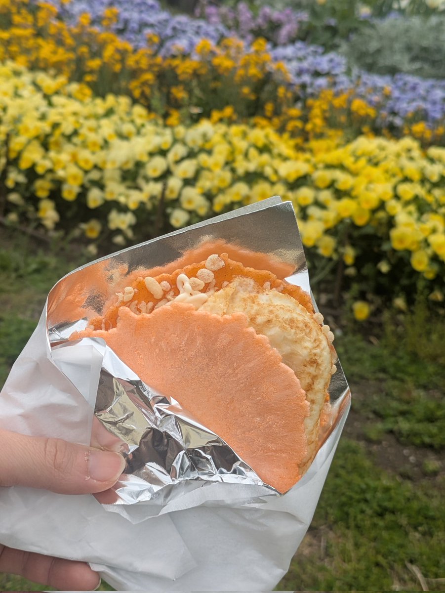 伊澄瑞記/たま tweet media