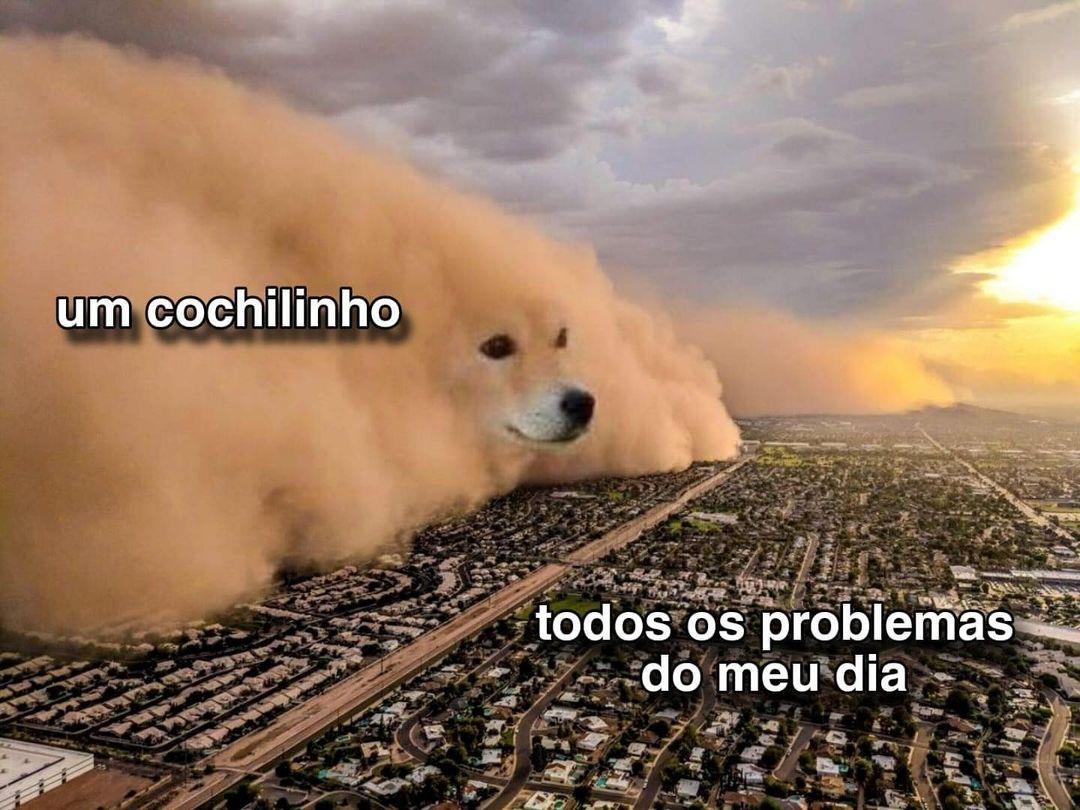 Vdd seja dita: