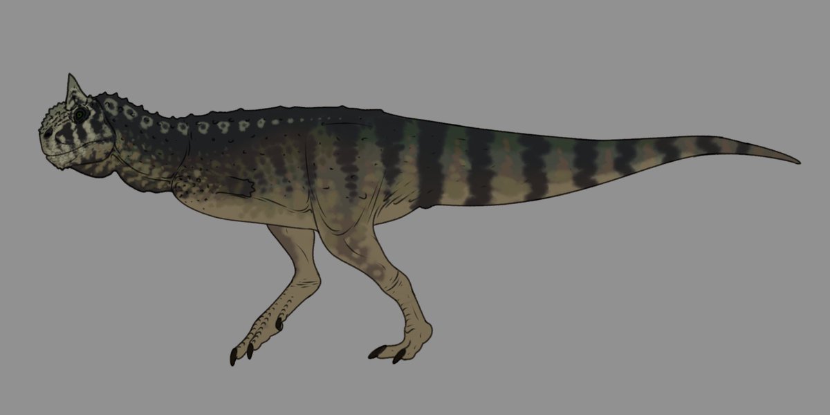 Perhaps I should get art of Jack on a Mortocycle being chased by a Carnotaurus. Art by <a href="/MarkWitton/">Mark Witton (Bluesky: @markwitton.bsky.social)</a> <a href="/MrFragilis/">PaleoFragilis43 (open commissions)</a> <a href="/ARGAtheropodfan/">Arturo García</a> and Lost World Concept Art.