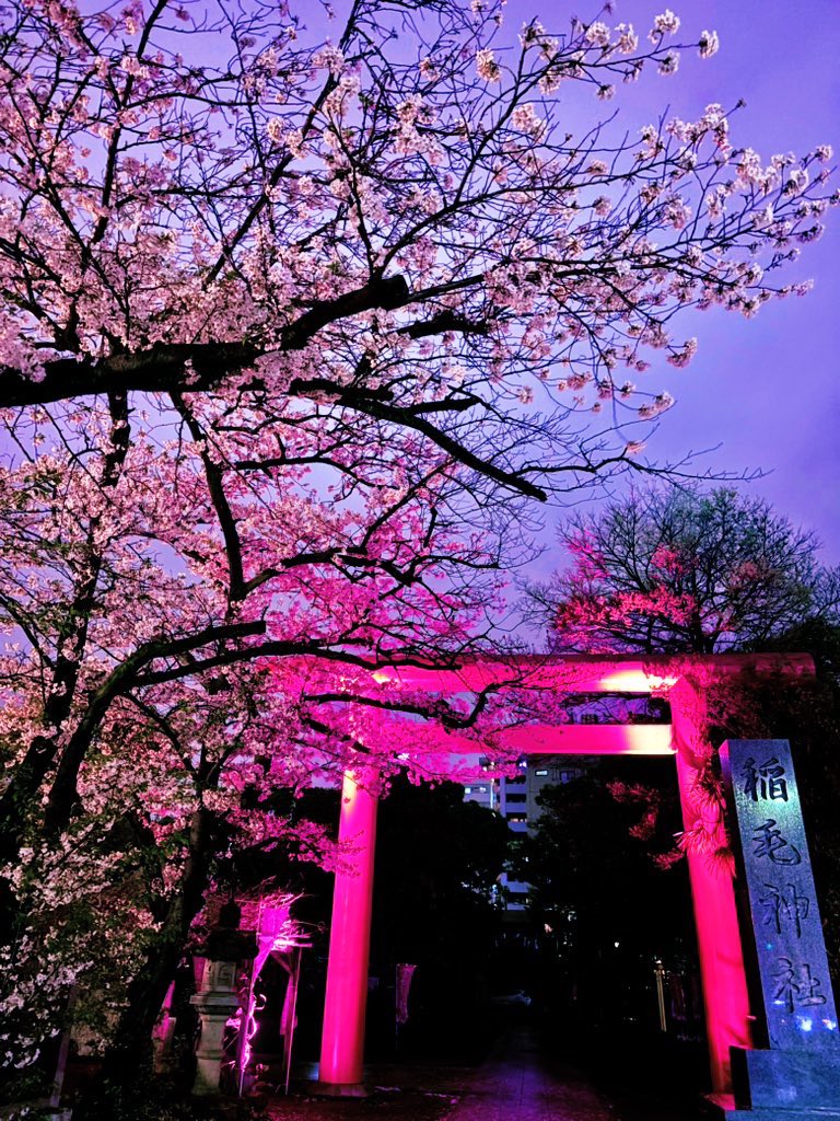 ®️玲low tweet media