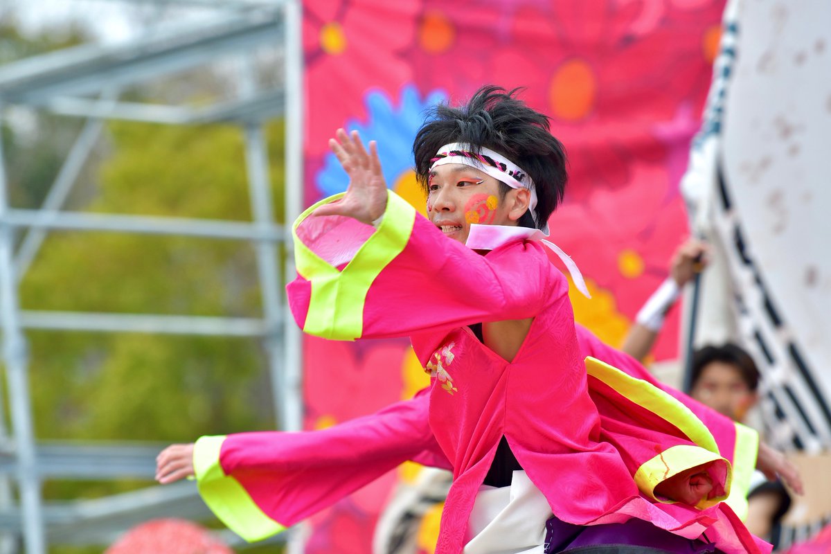 てりー★よさこい写真専用垢 tweet media