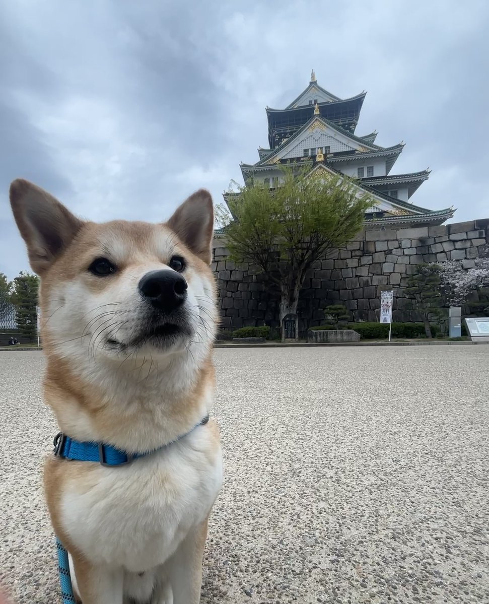 ムチムチむぅちゃん tweet media