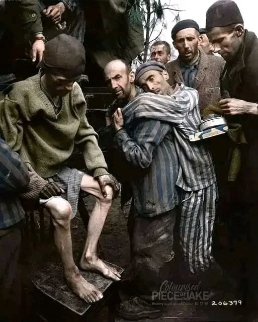 Jonatan Netto tweet media