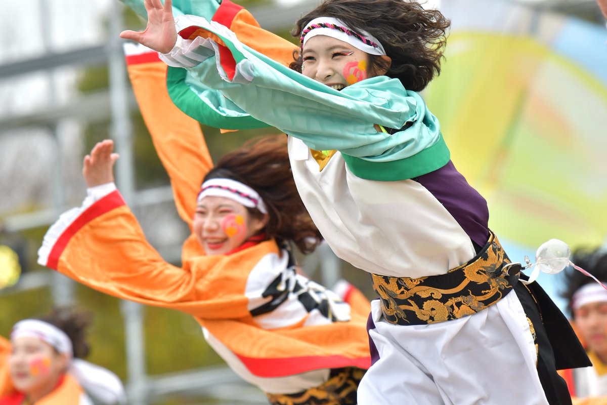 てりー★よさこい写真専用垢 tweet media