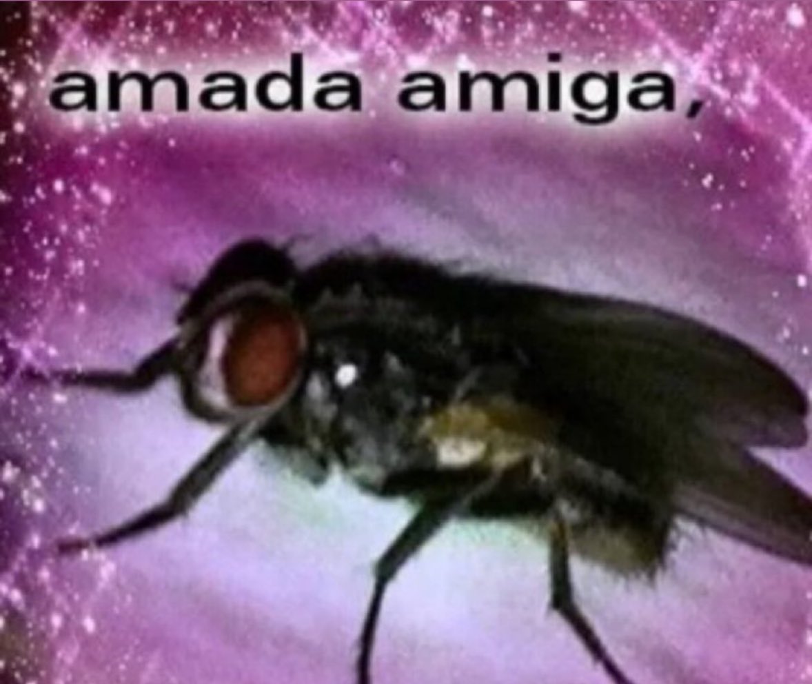 ᵇʳᵉⁿᶻ tweet media