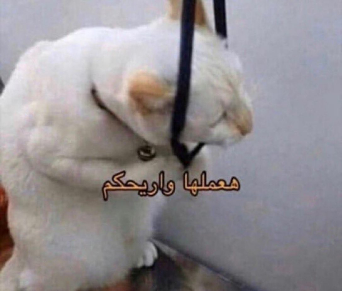 ماجد الحربي tweet media