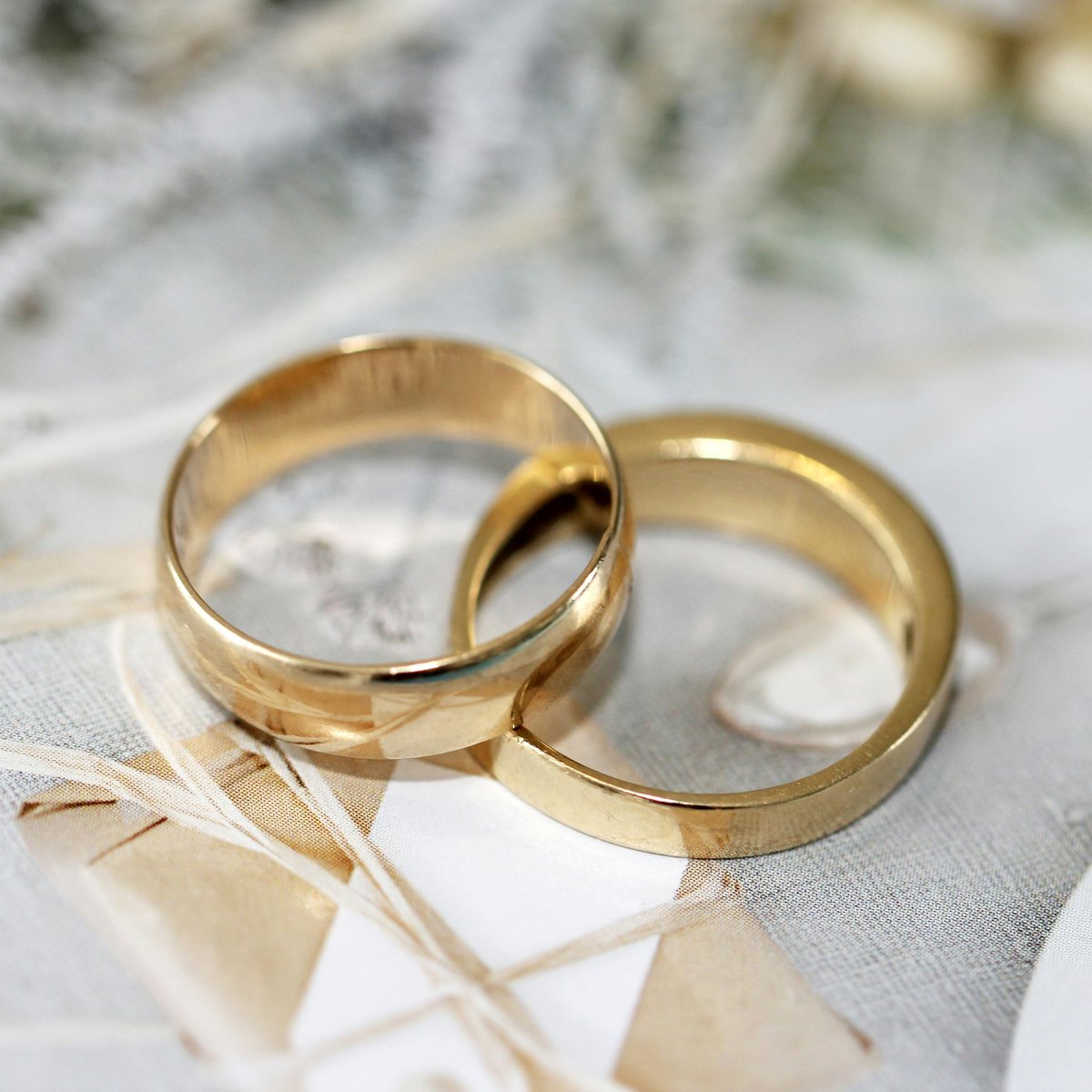 Pusholder tweet media