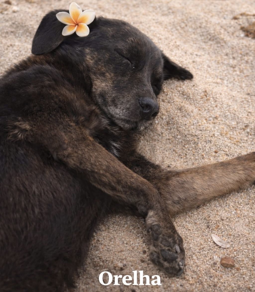 Marco Valverde ® tweet media