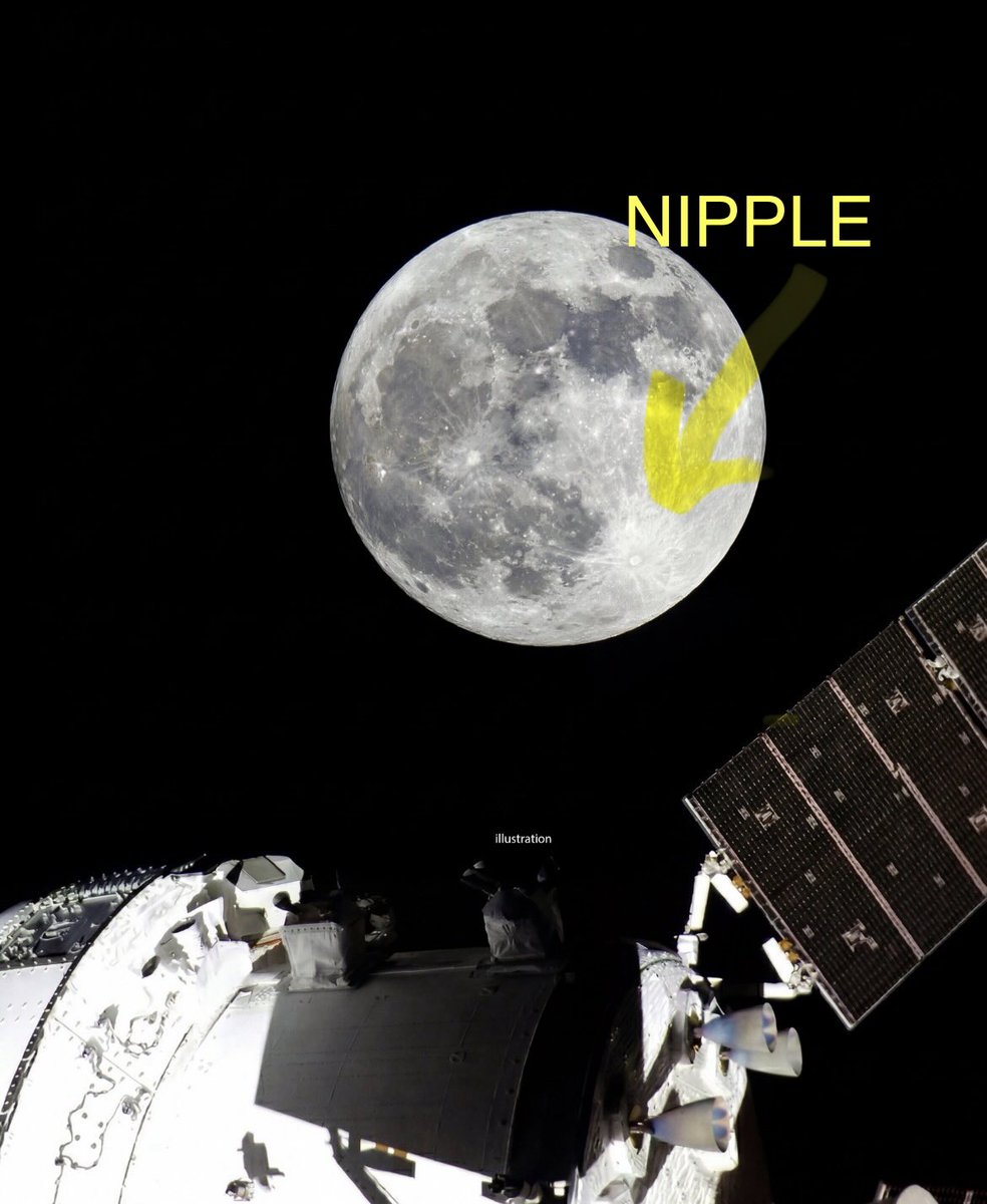 basic burner tweet media