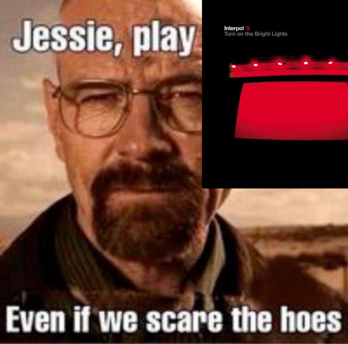 Acervo Interpol tweet media