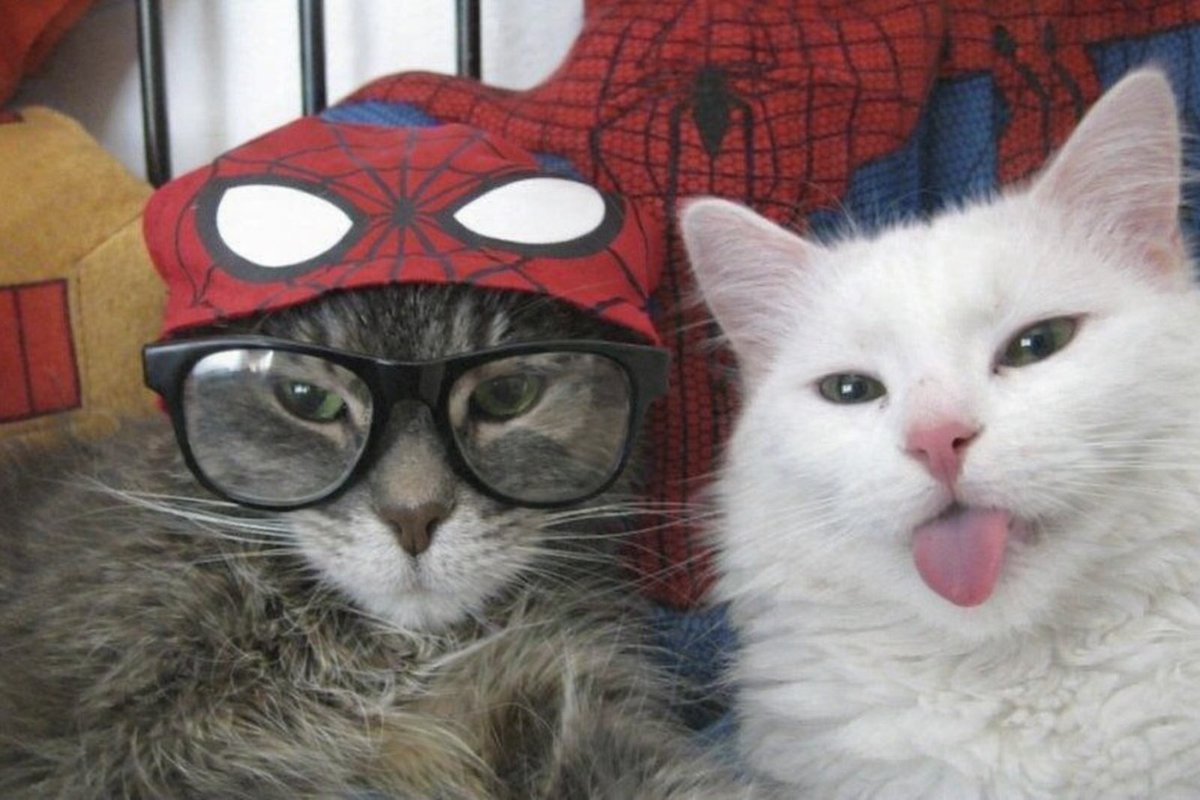 No Context Tobey Maguire tweet media