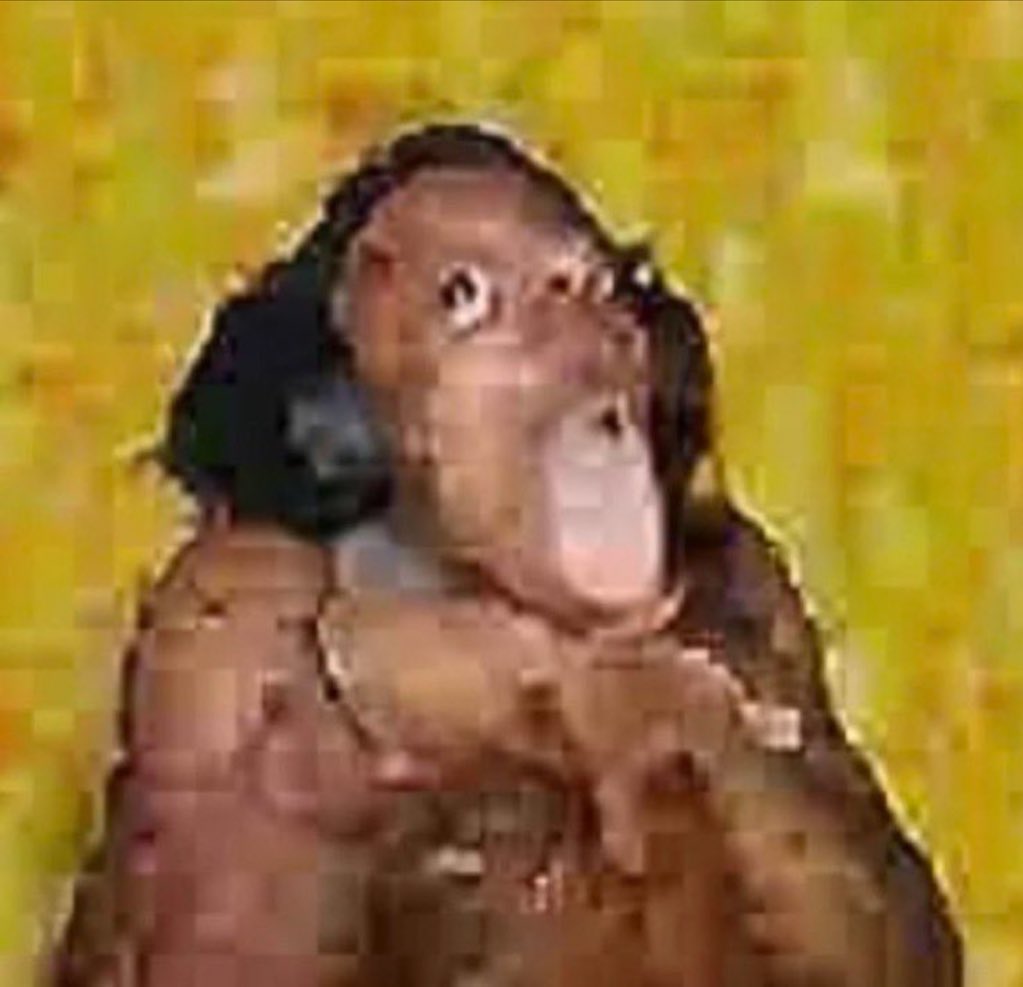 Roks D zeppeli tweet media