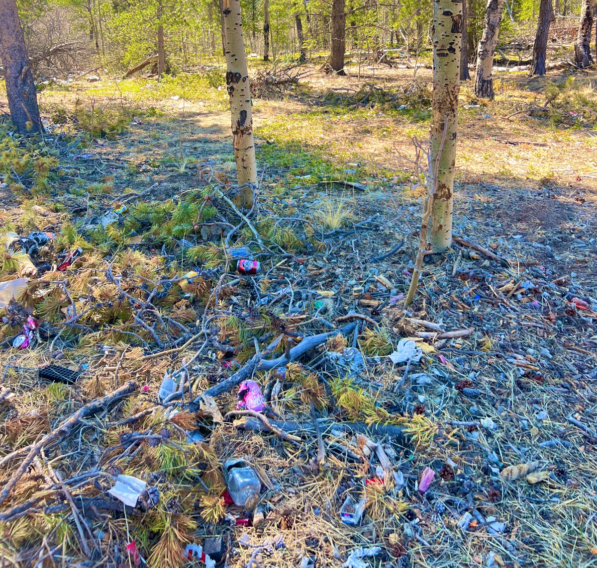 Jonathan tweet media