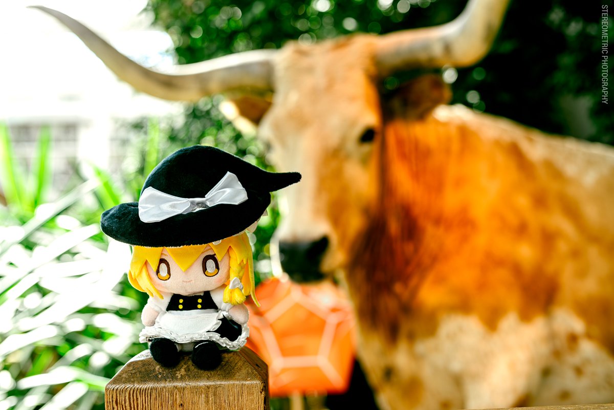 Stereometric tweet media