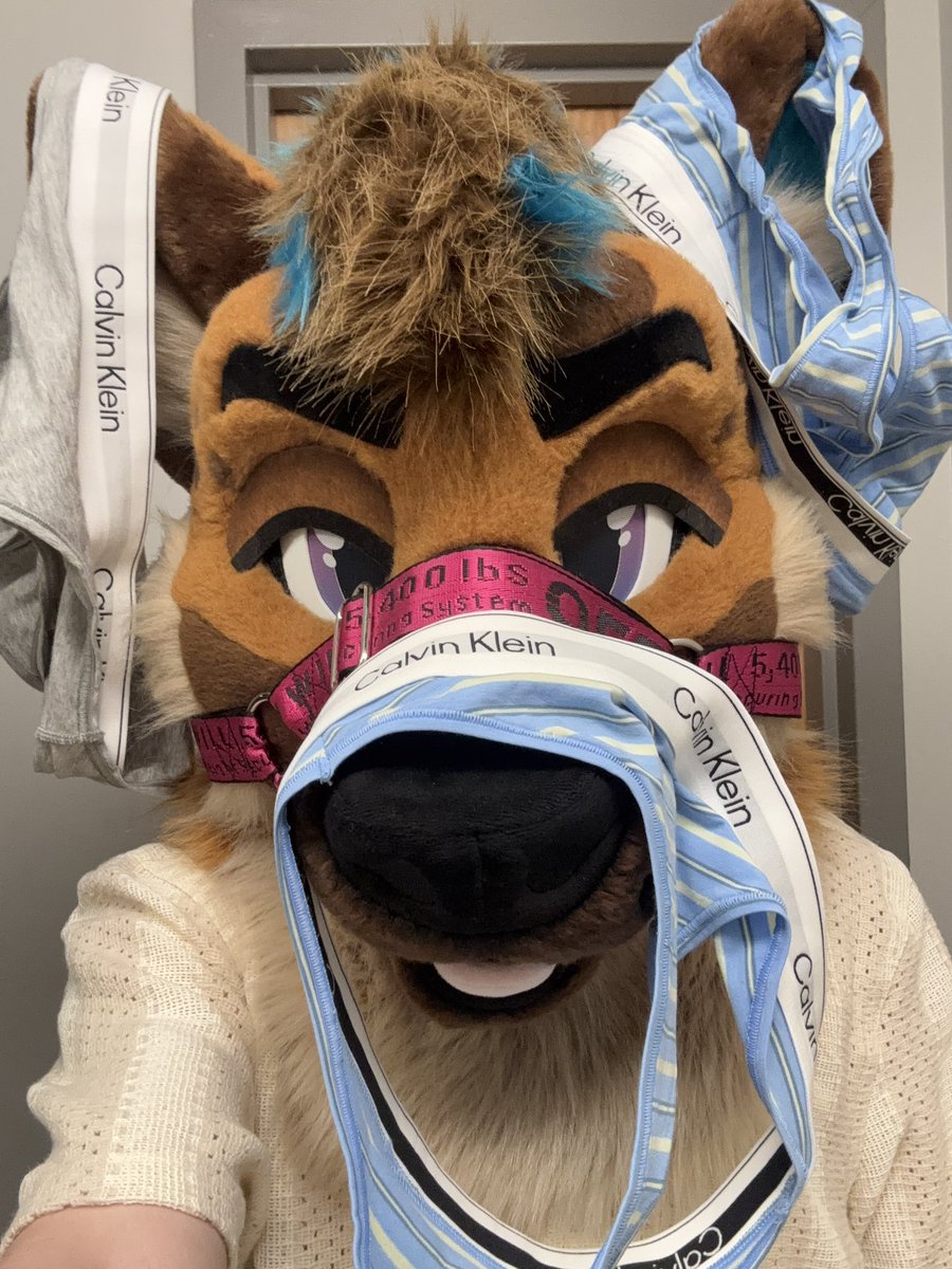 Ryker🐾🔜AC tweet media