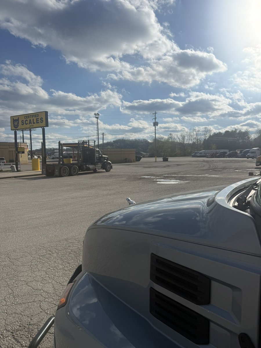 indietrucker tweet media