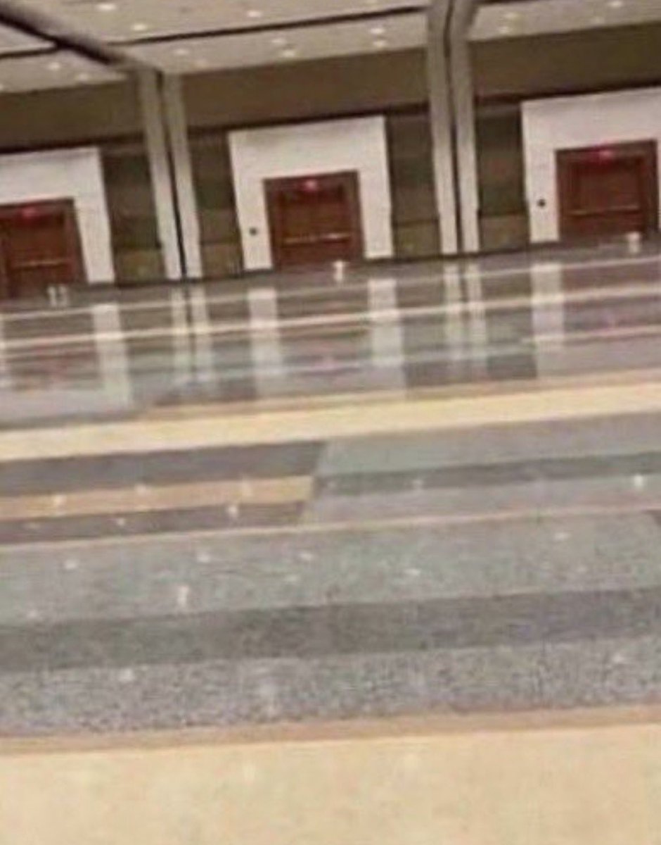 ⋆˚꩜。 ollie tweet media